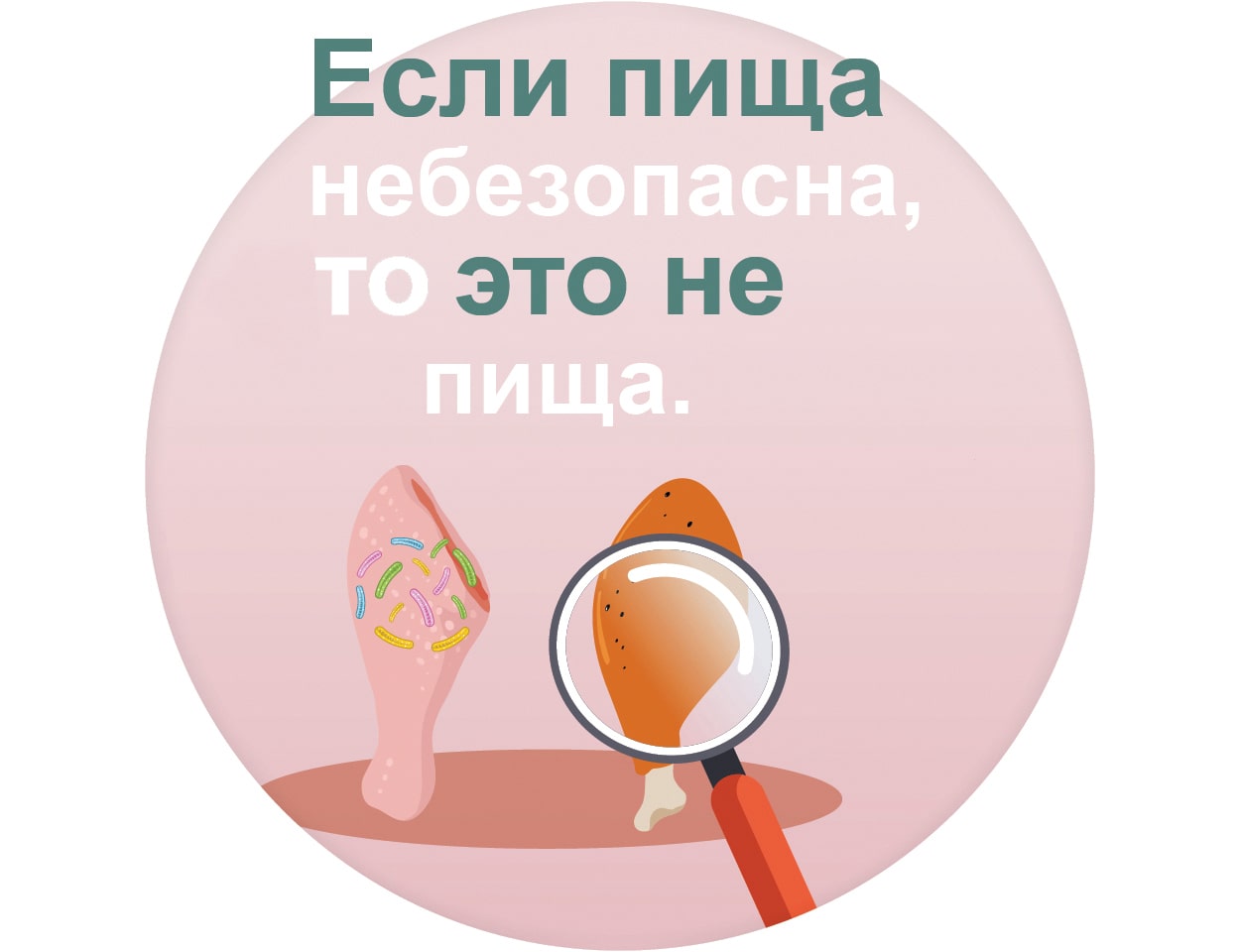 food safety illustration